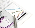 bizwebsolutuions report