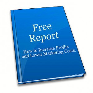 bizwebsolutions report bizwebsolutions report