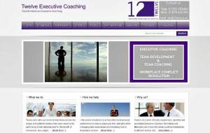 twelve executive coaching